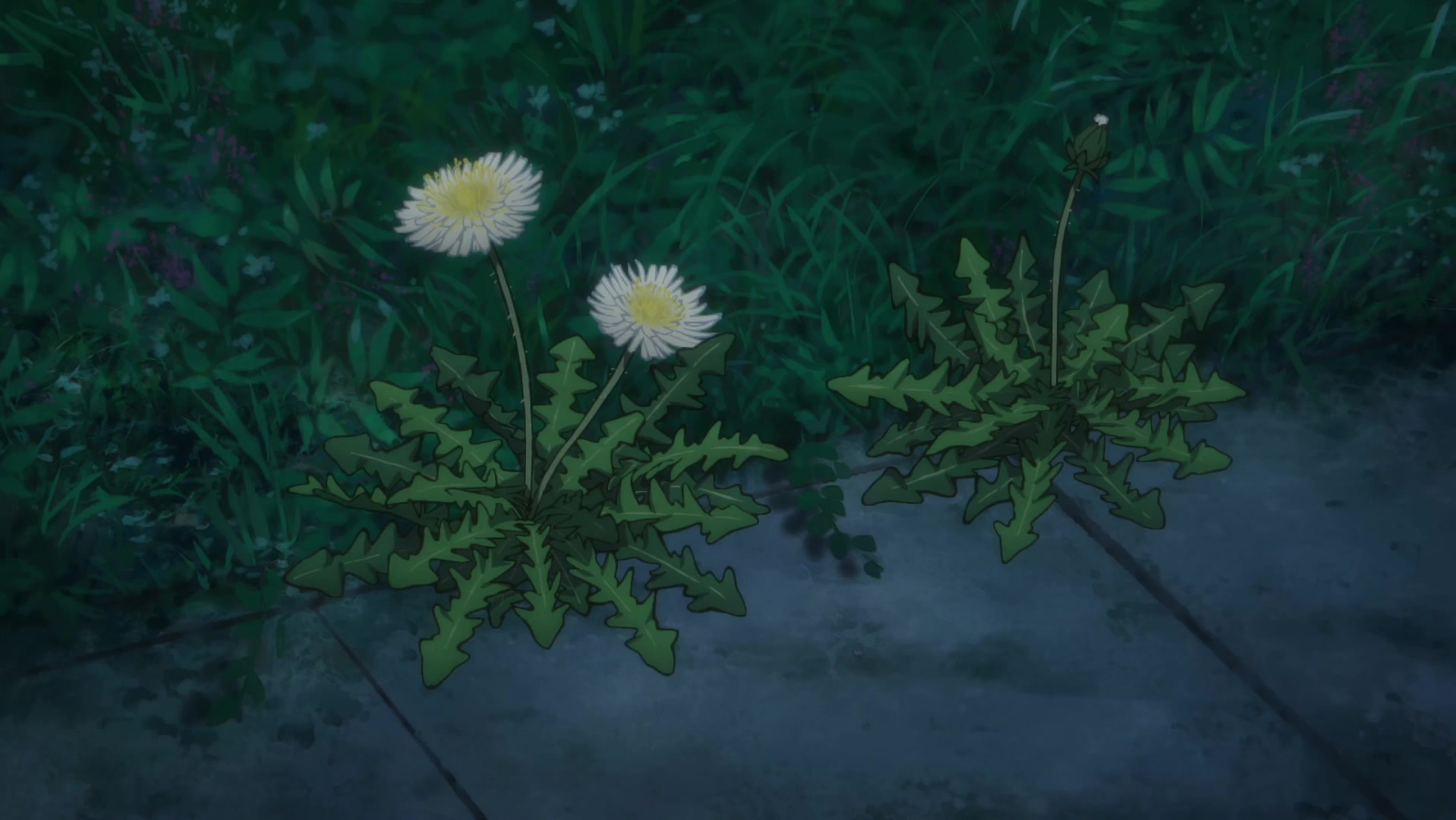 [Tsukyio Editing Resources] Takopi's Original Sin - 069.mp4